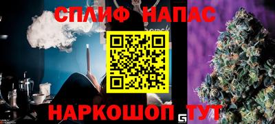гашик Ливны